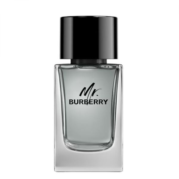 Burberry mr. burberry woda toaletowa spray 100ml